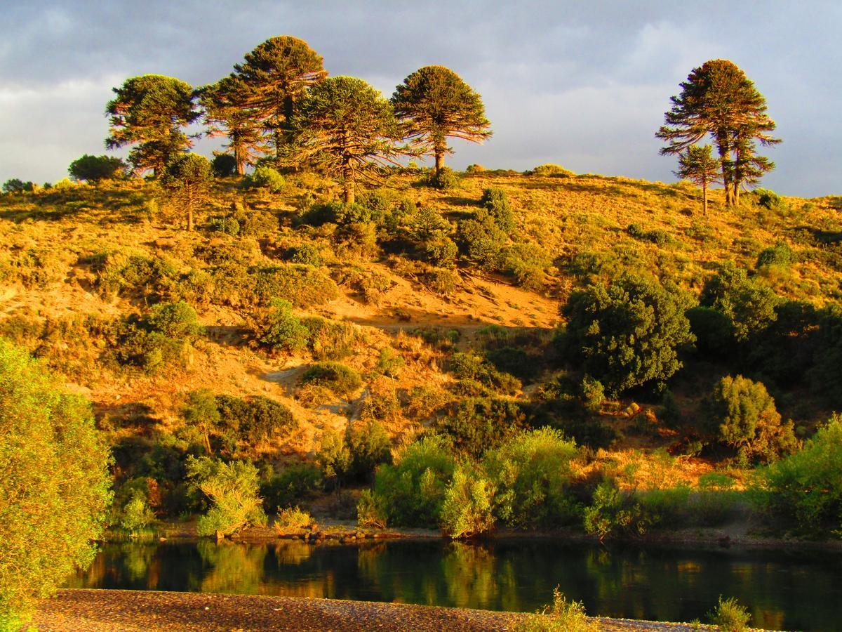 فندق Huechulafquen Lakeفي  La Berendina المظهر الخارجي الصورة